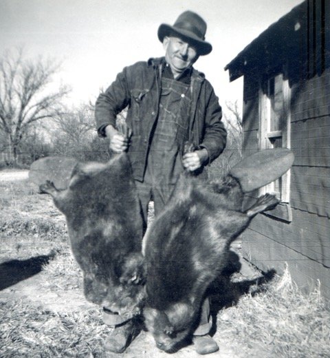 These two Big Piney Beavers are likely the biggest ever taken in the U.S. — 90 pounders. Taken in 1952, the story behind them belongs, with photos, in a museum.